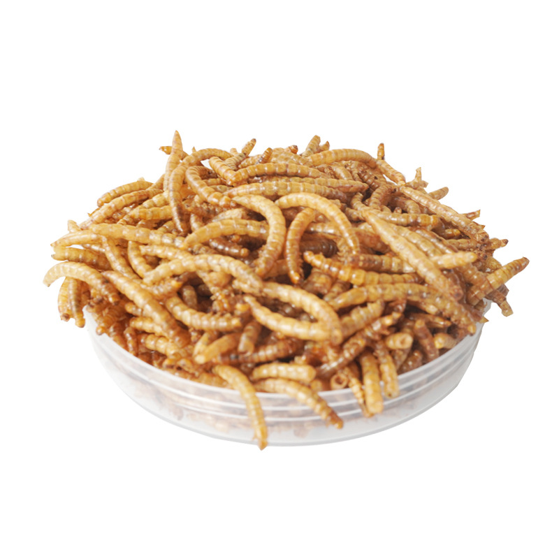 Przekąski bogate w białko dla  – Food Snacks With Protein recenzja i cena